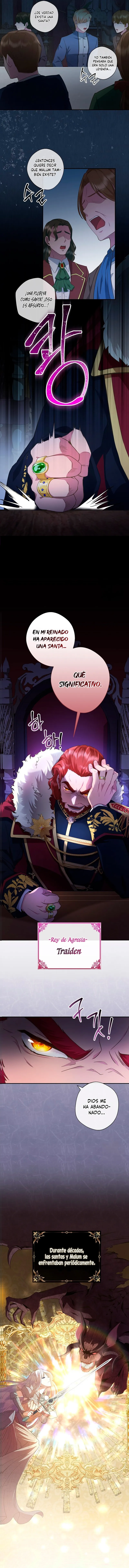 6 Las violetas que florecieron en el jardín