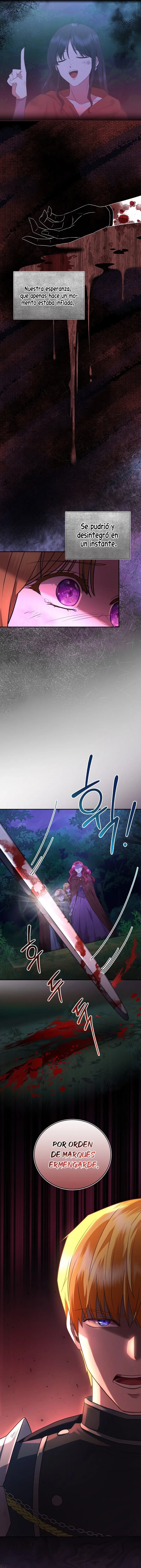 4 Las violetas que florecieron en el jardín