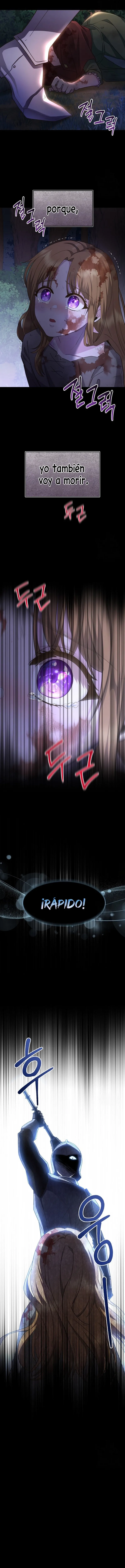 12 Las violetas que florecieron en el jardín