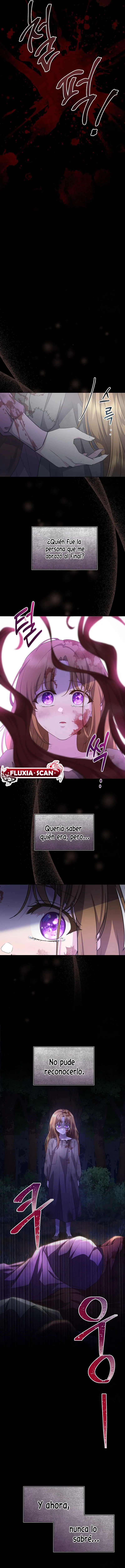 11 Las violetas que florecieron en el jardín