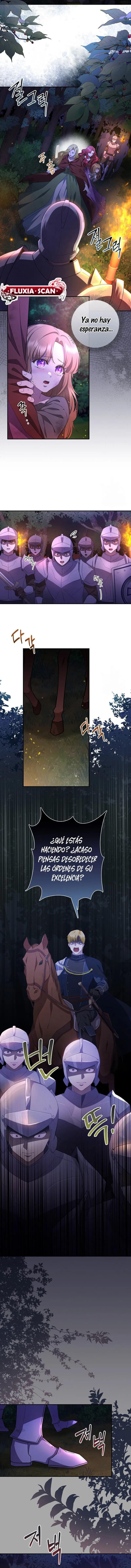 9 Las violetas que florecieron en el jardín