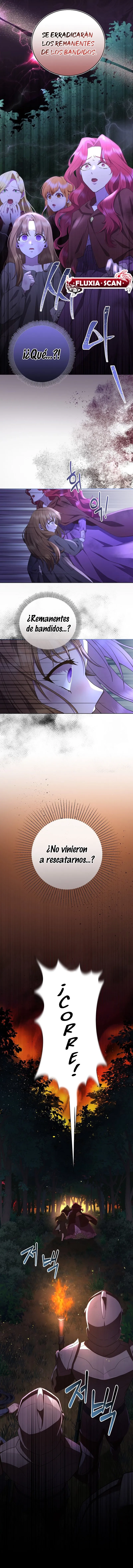 5 Las violetas que florecieron en el jardín