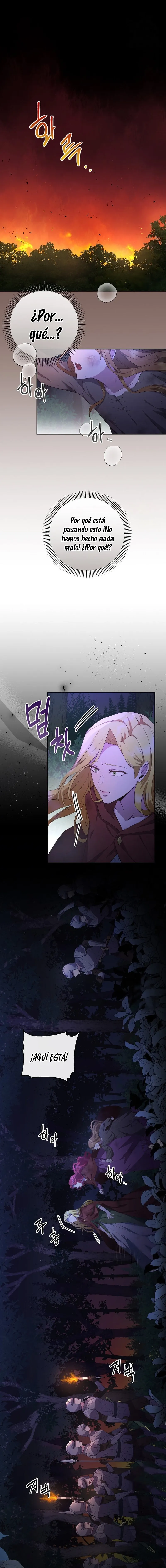 8 Las violetas que florecieron en el jardín