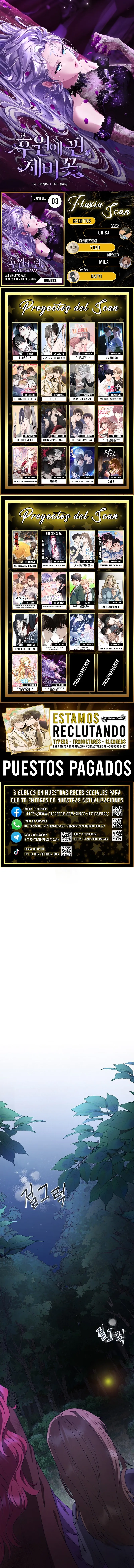 0 Las violetas que florecieron en el jardín