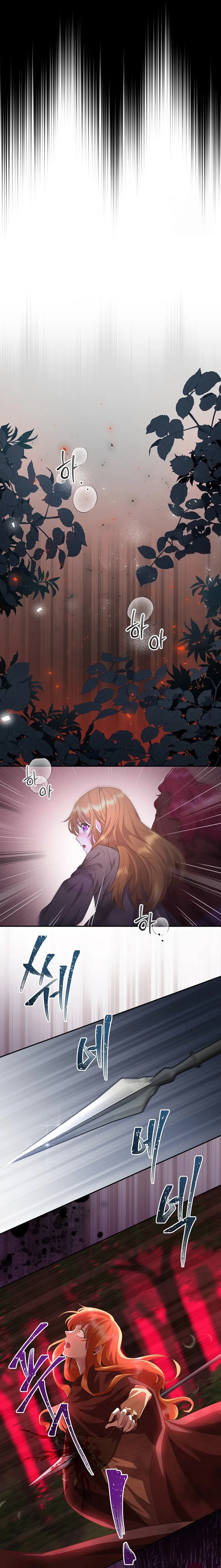 6 Las violetas que florecieron en el jardín