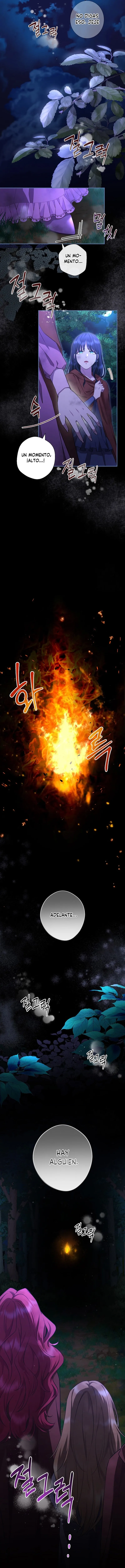 13 Las violetas que florecieron en el jardín