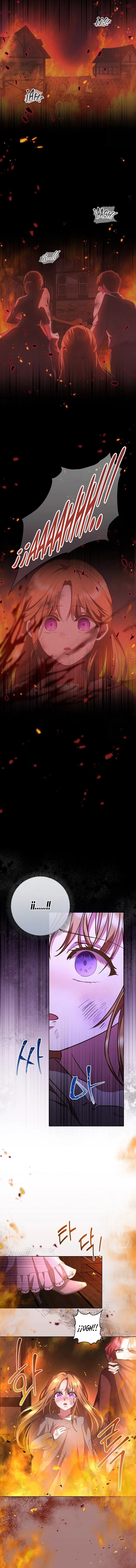 8 Las violetas que florecieron en el jardín