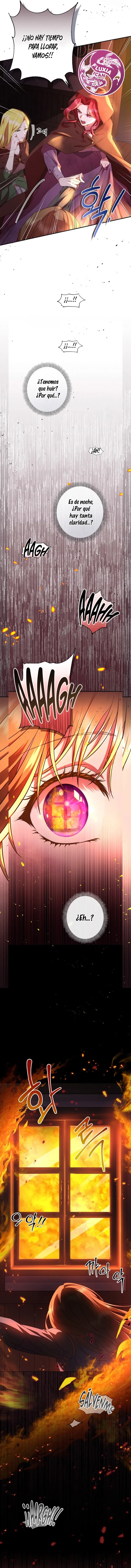 7 Las violetas que florecieron en el jardín