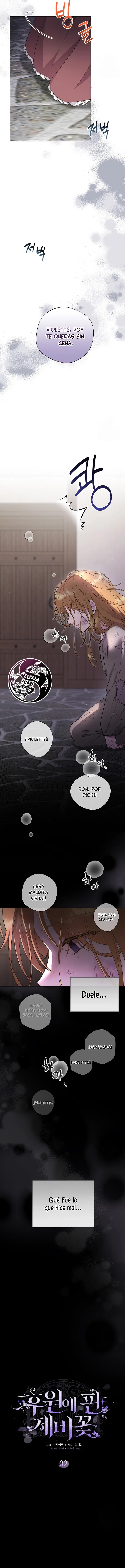 3 Las violetas que florecieron en el jardín