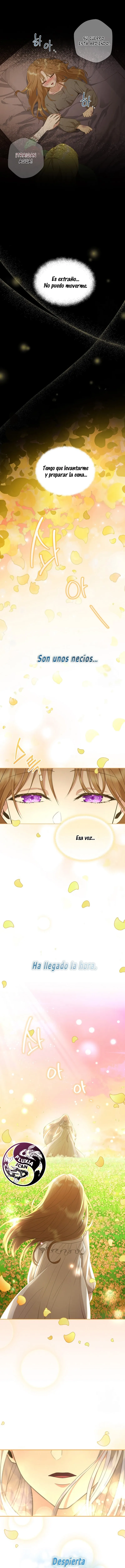 4 Las violetas que florecieron en el jardín