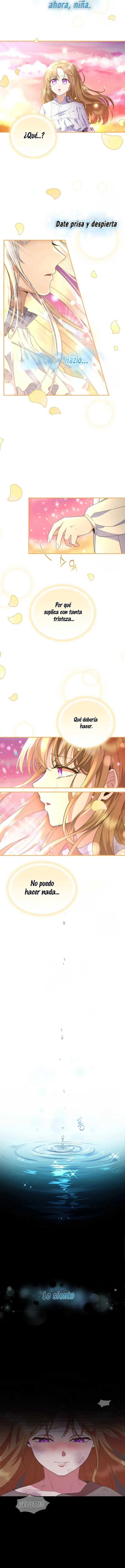 5 Las violetas que florecieron en el jardín