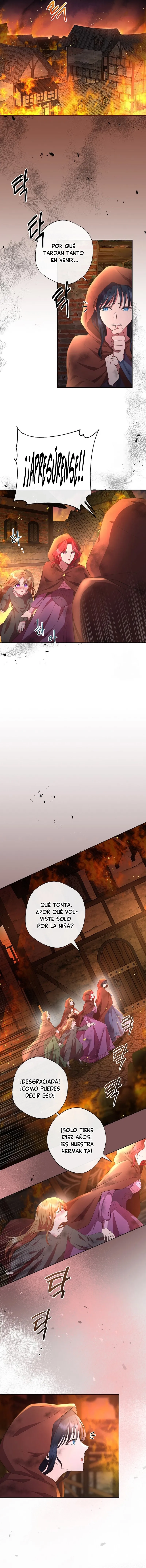 10 Las violetas que florecieron en el jardín