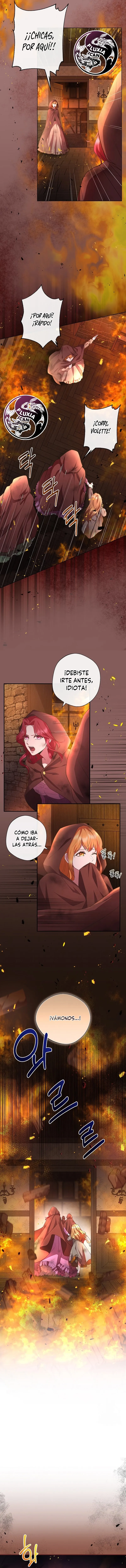 9 Las violetas que florecieron en el jardín