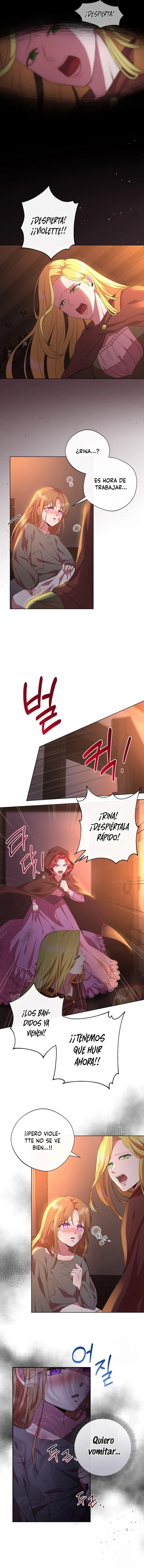 6 Las violetas que florecieron en el jardín