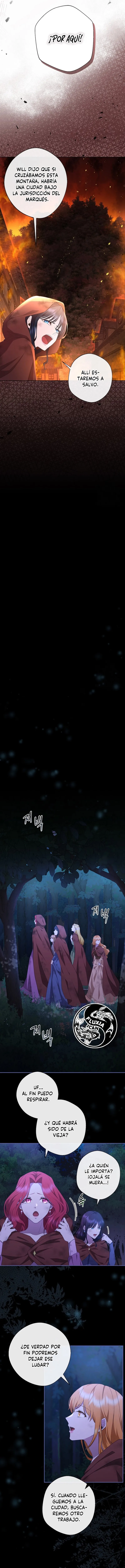 11 Las violetas que florecieron en el jardín