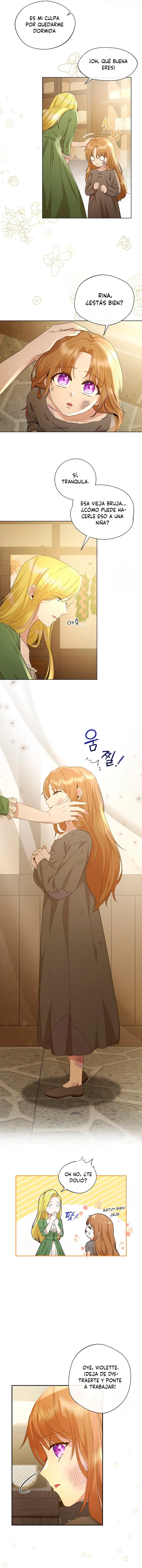 6 Las violetas que florecieron en el jardín