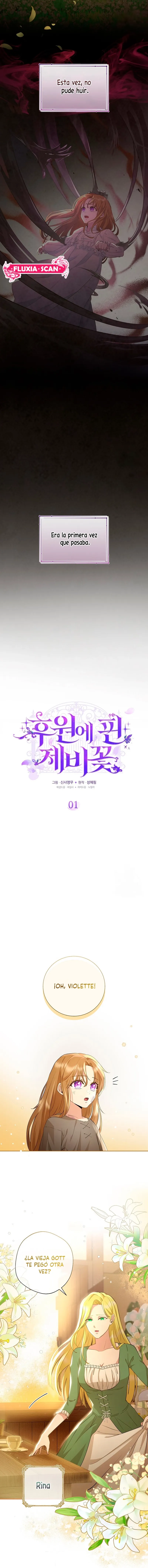 5 Las violetas que florecieron en el jardín