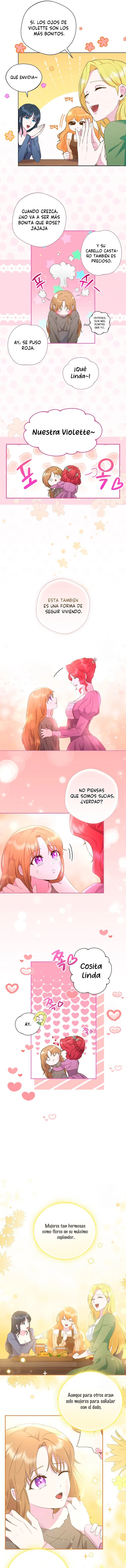 11 Las violetas que florecieron en el jardín