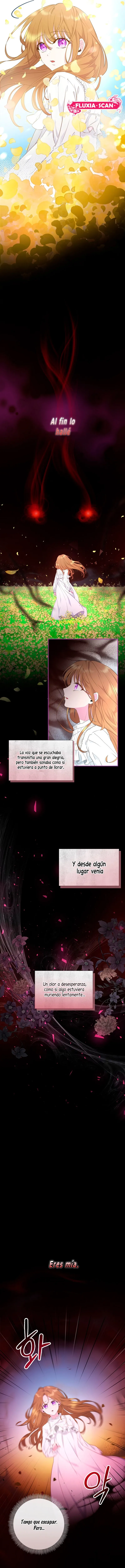 1 Las violetas que florecieron en el jardín