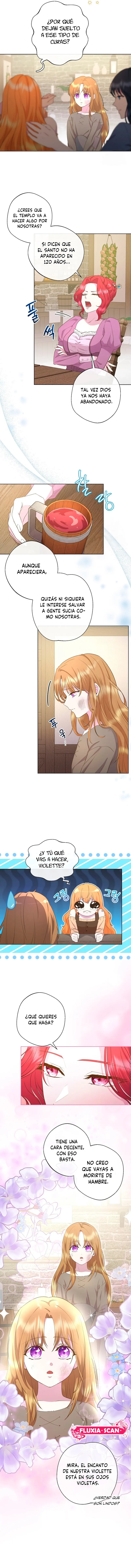 10 Las violetas que florecieron en el jardín