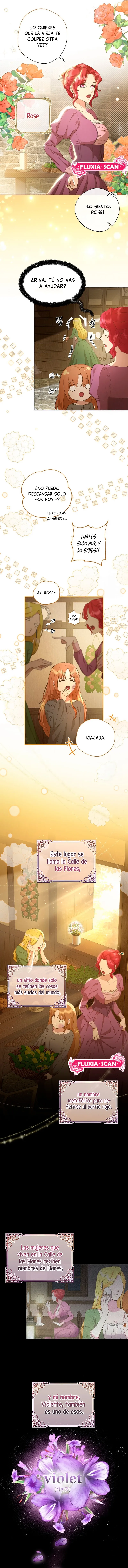 7 Las violetas que florecieron en el jardín