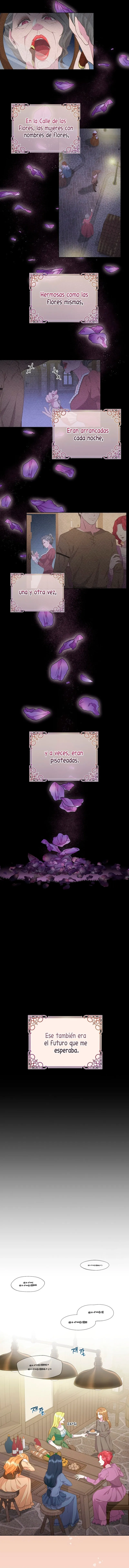 8 Las violetas que florecieron en el jardín