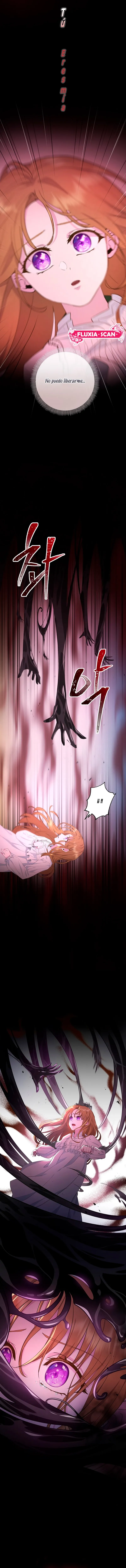 2 Las violetas que florecieron en el jardín