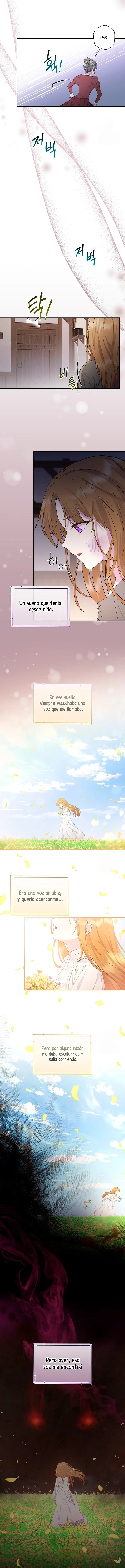 4 Las violetas que florecieron en el jardín