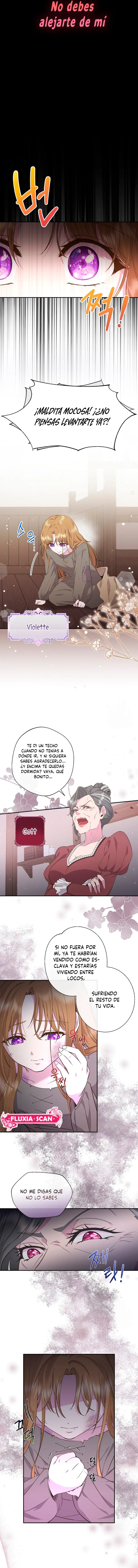 3 Las violetas que florecieron en el jardín