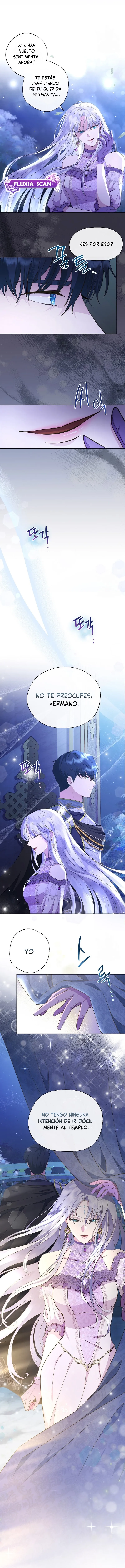 4 Las violetas que florecieron en el jardín