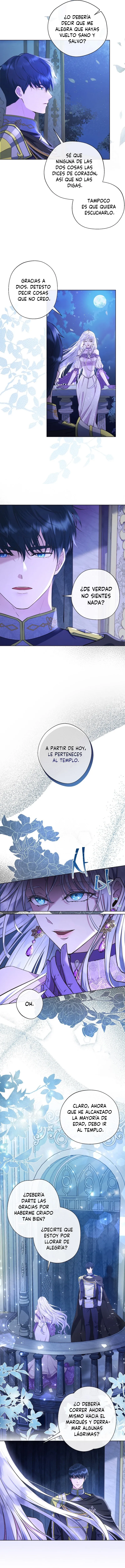 3 Las violetas que florecieron en el jardín