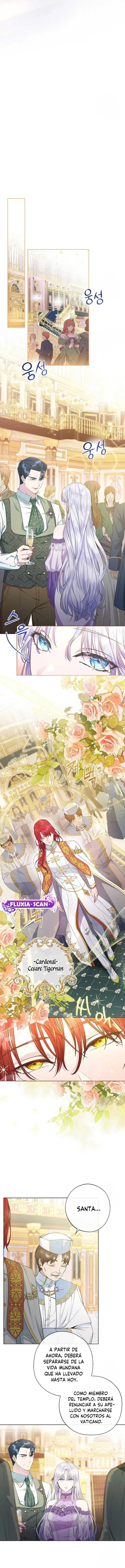 5 Las violetas que florecieron en el jardín