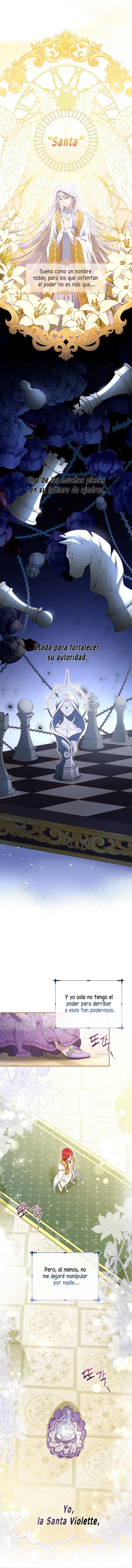 10 Las violetas que florecieron en el jardín