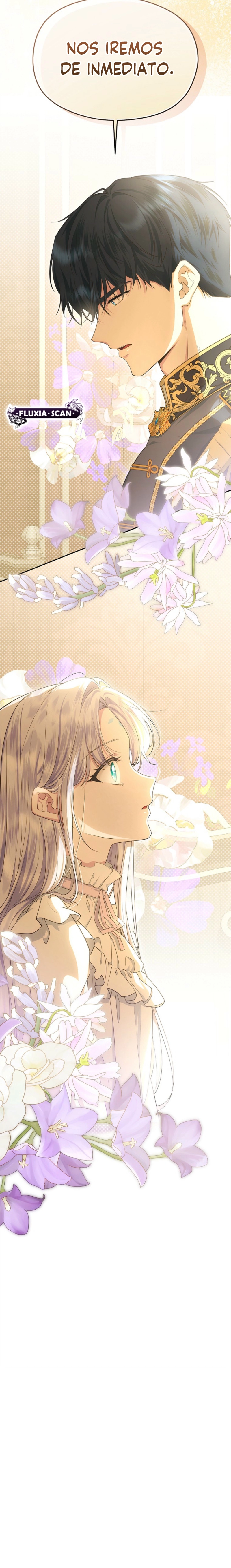 16 Las violetas que florecieron en el jardín