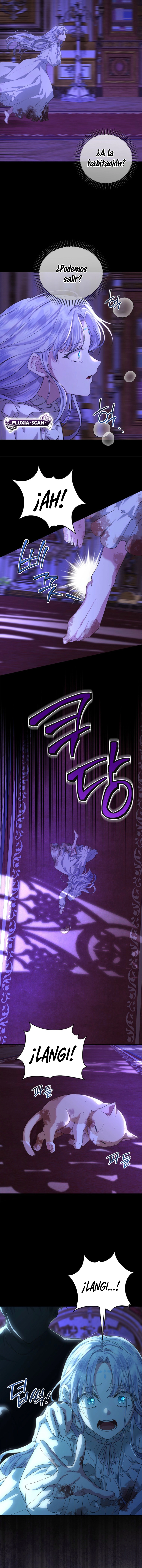 10 Las violetas que florecieron en el jardín