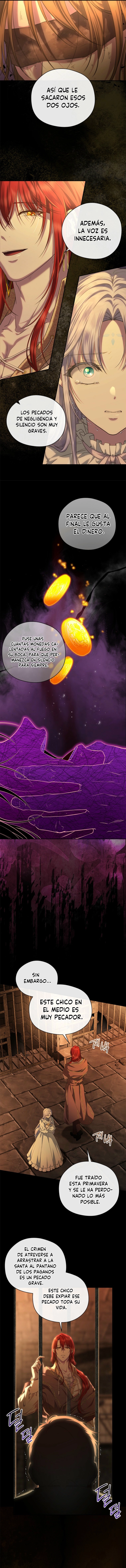 2 Las violetas que florecieron en el jardín