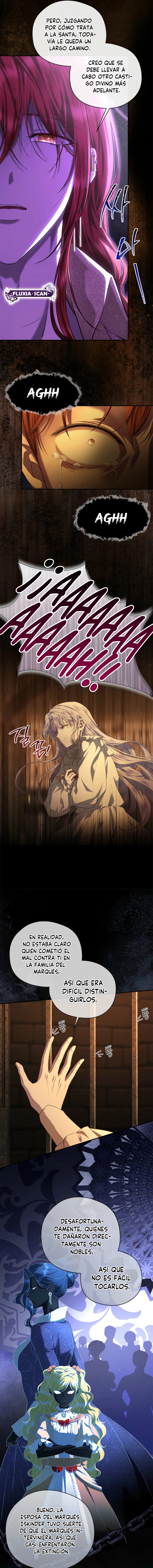 3 Las violetas que florecieron en el jardín