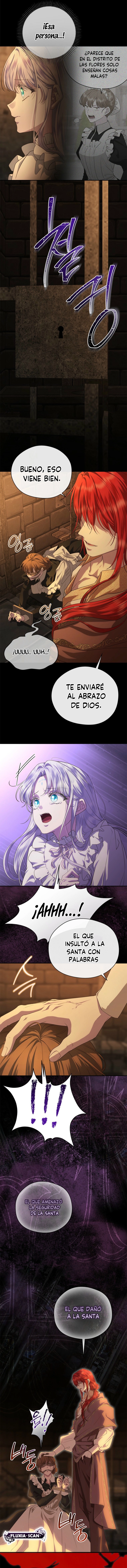 5 Las violetas que florecieron en el jardín