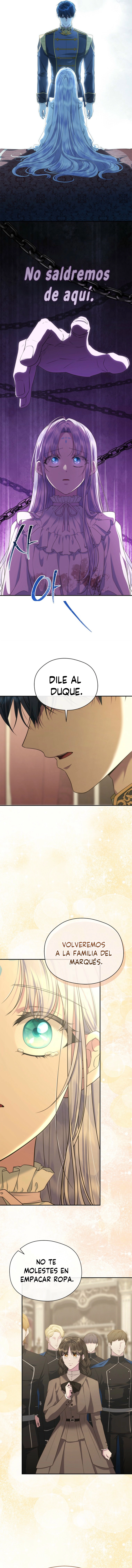 15 Las violetas que florecieron en el jardín