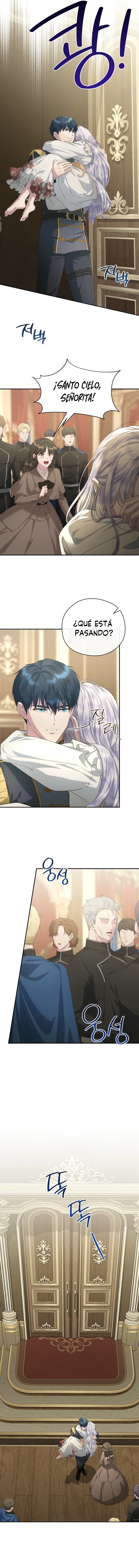 13 Las violetas que florecieron en el jardín