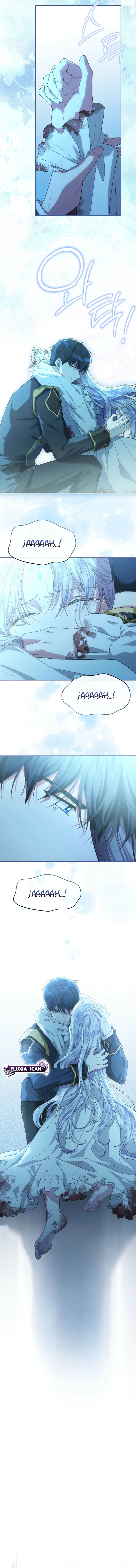 12 Las violetas que florecieron en el jardín