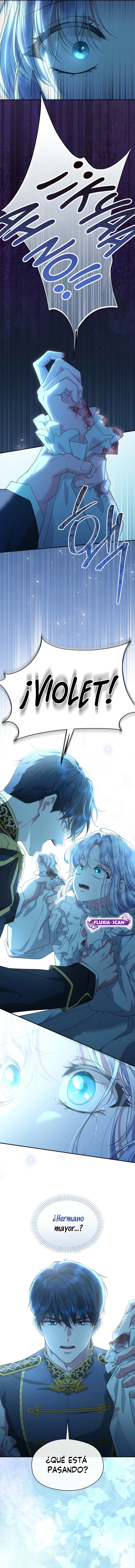 11 Las violetas que florecieron en el jardín