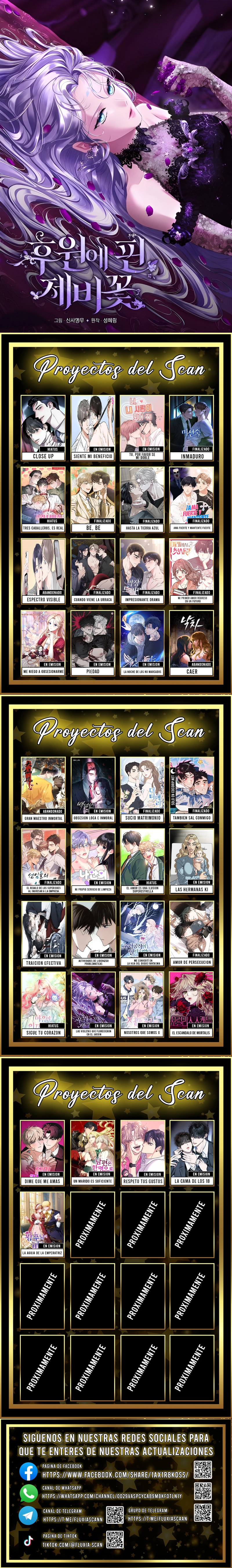 0 Las violetas que florecieron en el jardín