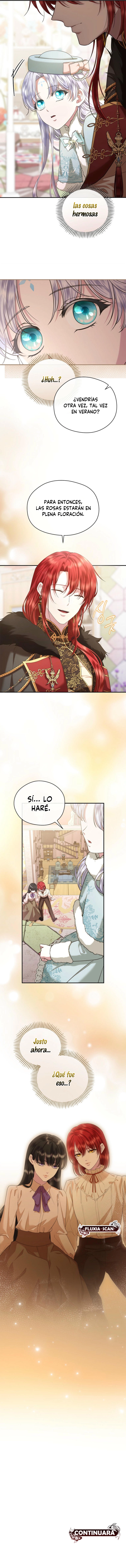 10 Las violetas que florecieron en el jardín