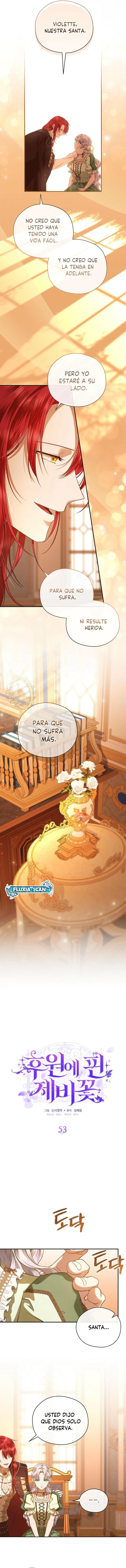 6 Las violetas que florecieron en el jardín