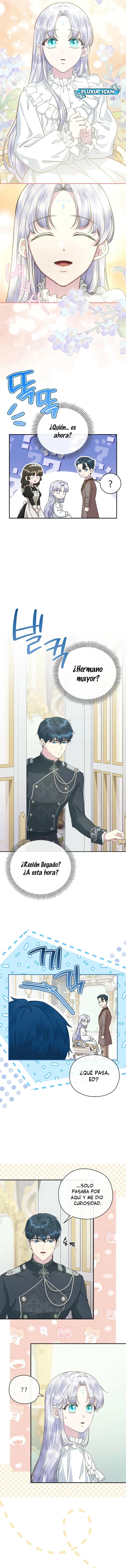 14 Las violetas que florecieron en el jardín