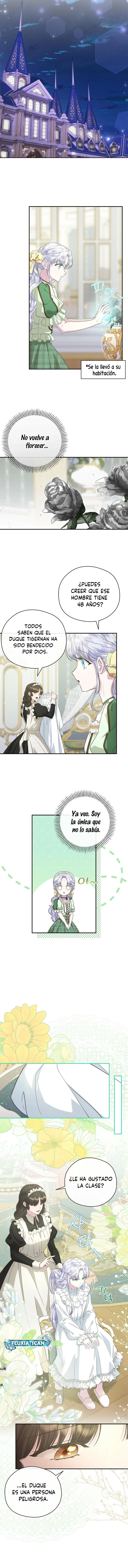 10 Las violetas que florecieron en el jardín