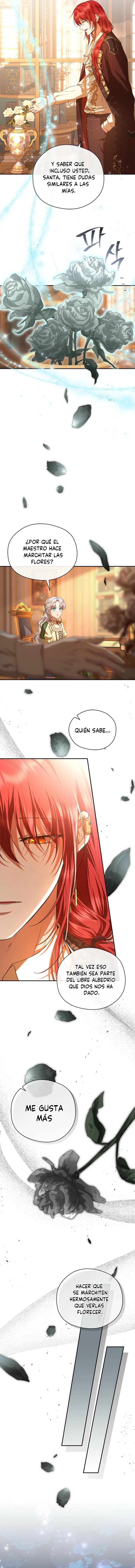 9 Las violetas que florecieron en el jardín