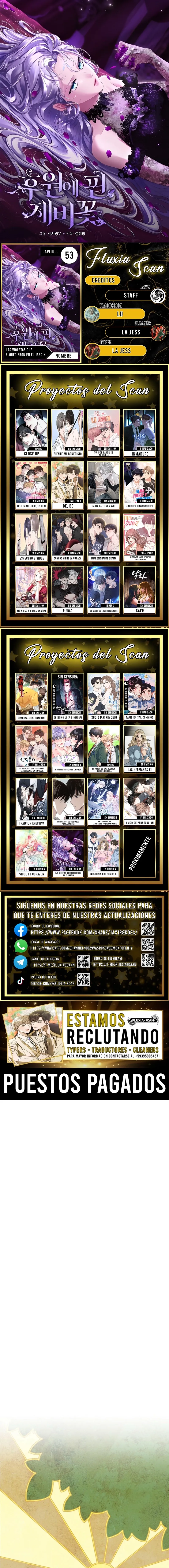 0 Las violetas que florecieron en el jardín