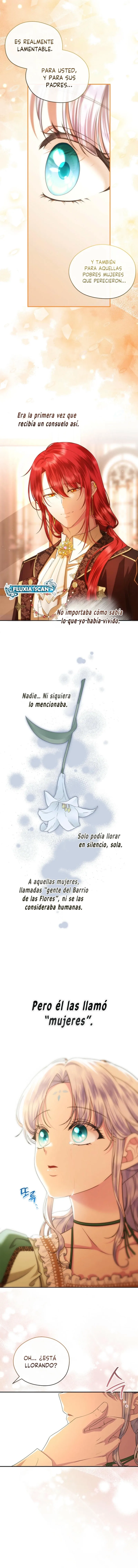 5 Las violetas que florecieron en el jardín